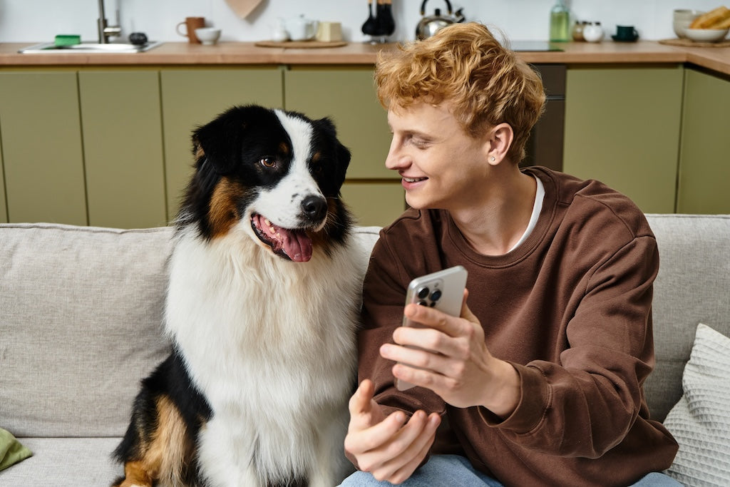 Important Things to Know About Refurbished iPhones